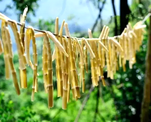吃春笋，不可辜负的至鲜皖味